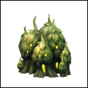 Hop Patch