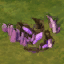 Pas du dragon