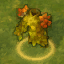 Light‑and‑Shade Cloak